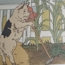 LITTLE  PIG  AND  HIS  GARDEN1