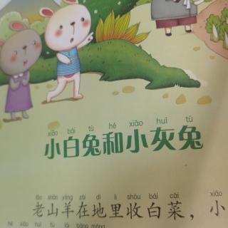 小白兔和小灰兔