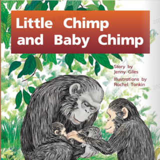 Little Chimp and Baby Chimp故事