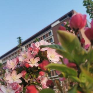 🌸四月，想给你写一封春天的信