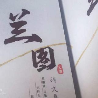 中秋春韵秋琴