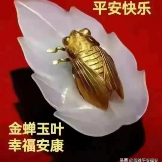 欢迎老师（外二首）作者崔云生诵读红叶