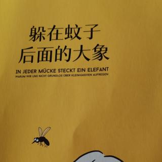 《躲在蚊子后面的大象》第一部分