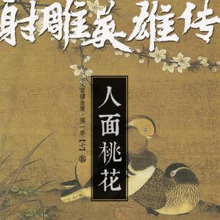 射雕英雄传|人面桃花[文盲读金庸·第一季·07]