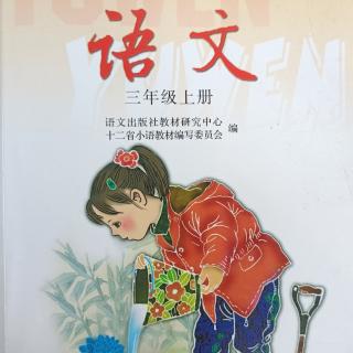 《帽子和鸟窝》