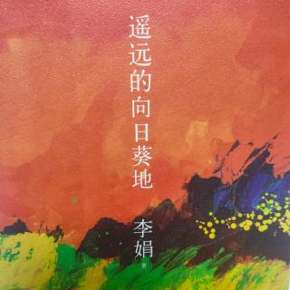 李娟《遥远的向日葵地》31.寂静