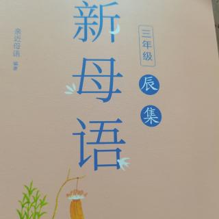 2024.9.25新母语《玮玮的蚕》