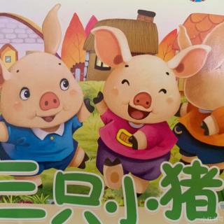 三只小猪🐖