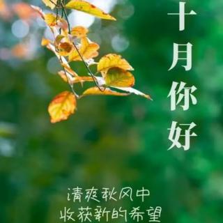 #第1484天#【黎明老师读古诗词】《古诗词鉴赏》《沁园春·长沙》