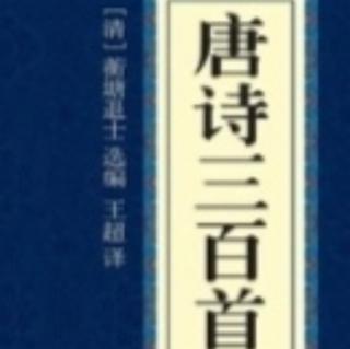 唐诗三百首36·关山月