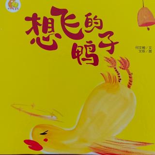 《想飞的鸭子》