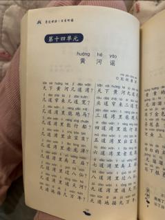 我给小鸡起名字