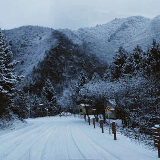 《飘雪的季节更想你》🎷萨克斯