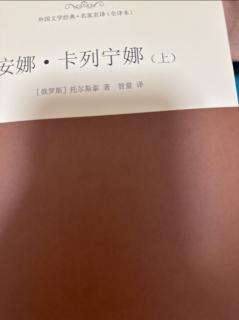 运城市大运小学强一一读《安娜·卡列宁娜》