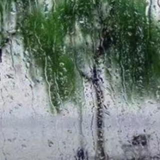 雨后的悸动  作者 观槐
 朗诵 潘长学