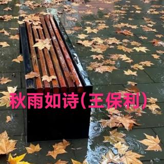 秋雨如诗(王保利)