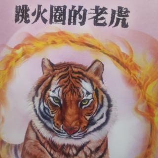 沈石溪动物小说10.30🐯🐯🐯🐯🐯