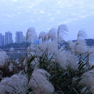 住建读书会晨读第2420期