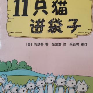 11只猫进袋子