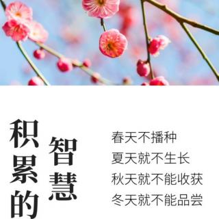 《能断金刚》中文版前言