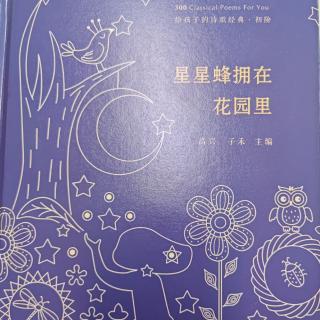 《诗歌集 星星蜂拥总在花园里》