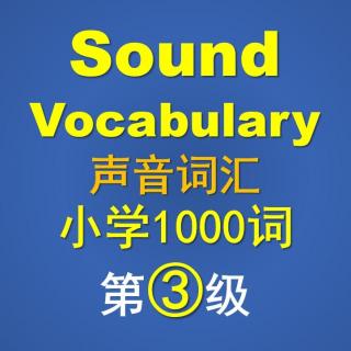 SV小学3级-Unit4-B Word List（Track 11）SV小学英语