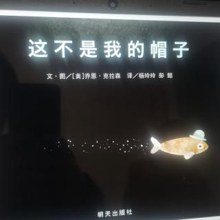 这不是我的帽子