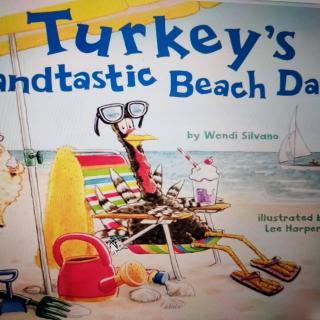 Turkey's Sandtastic Beach Day