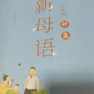 2024.11.13《新母语》