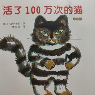 绘本故事《活了100万次的猫》