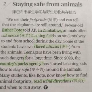 staying safe from animals