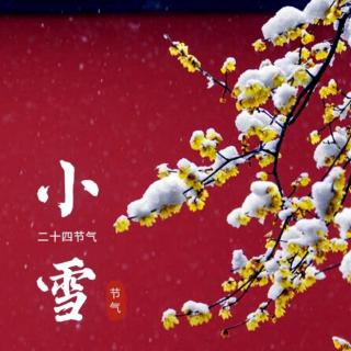 【心语轻语】《霜雪落，情韵长》