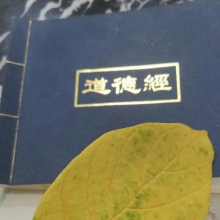 100-21《道德经》