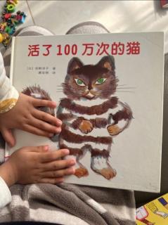 活了100万次的猫🐱