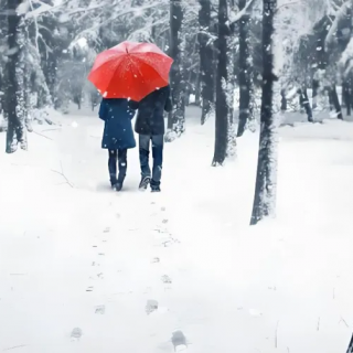 相思林//作者 杨非炀//诵读 李雪霞