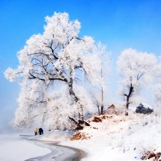 《第一场雪》边缘村夫