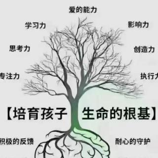 成长是心智升维的过程