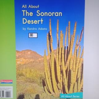 All about  the  Sonoran  Desert