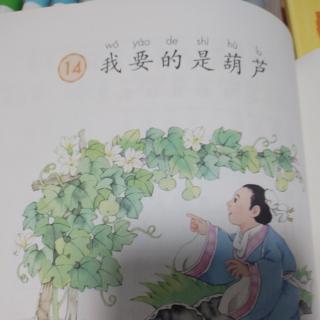 我要的是葫芦