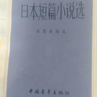 小说《脸上的红月亮》57野间宏