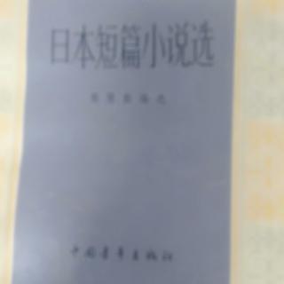 小说《脸上的红月亮》59野间宏