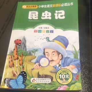 昆虫记(二十九)条纹蜘蛛