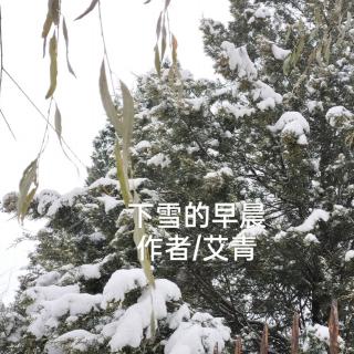 下雪的早晨   作者/艾青    诵读/海灵