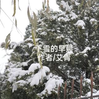 下雪的早晨   作者/艾青   诵读/海灵