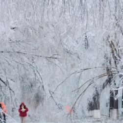 我的世界  早已被雪填满一一张庆波