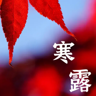 林清玄：天寒露重，望君保重