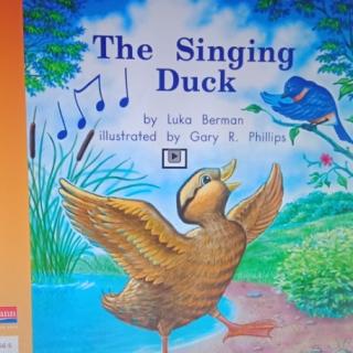 The singing duck