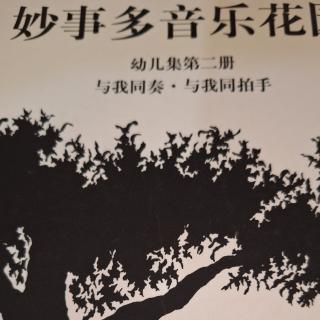 小马摇篮曲