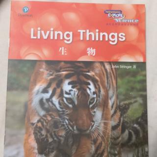 Living things 生物