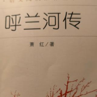 《呼兰河传》时间轮回p29~30